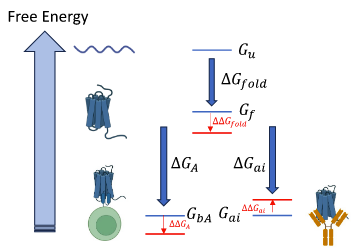biophysical.png